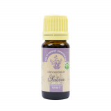 Cumpara ieftin Aproape nou: Ulei esential de Salvie (Salvia officinalis), 100% pur fara adaos, 10