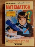 Matematica- Adrian Galbura, Alexandru Leonte