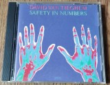 Cumpara ieftin CD David Van Tieghem &ndash; Safety In Numbers