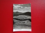 CARTE POSTALA - RPR - CAMPULNG MOLDOVENESC - VEDERE SPRE PIETRELE DOAMNEI