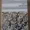 FABULA IDENTITATII. ROMANUL AMERICAN DIN ANII SAIZECI-MANFRED PUTZ-229877
