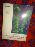 Ipostaze ale maleficului in medicina magica - Antoaneta Olteanu // 329 pagini