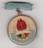 bnk ins Insigna Pionier de frunte - alama - varianta mare