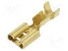 Terminal tip plat, pentru surub {{Orificiu pentru &amp;#351;urub}}, IMP - 670.08.00.3