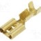Terminal tip plat, pentru surub {{Orificiu pentru &amp;#351;urub}}, IMP - 670.08.00.3