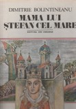 Dimitrie Bolintineanu - Mama lui Stefan cel Mare