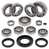 Cumpara ieftin Set de rulment diferential si garnitura Spate pentru POLARIS HAWKEYE, SPORTSMAN 300/400 2006-2014