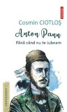 Anton Pann. Pana cand nu te iubeam - Polirom
