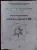 Bazele creatiei tehnice. Psihologia creativitatii- Maria Carcea, Lorin Cantemir