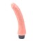 Vibrator realistic 22.5cm