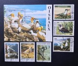 Regatul Cambodgiei 2000 Serie Fauna Păsări Marine și Pelagice Coliță / Bloc + Serie 6v Ștampilate Phnom Penh - A90, Stampilat