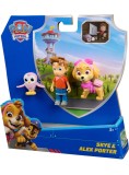Paw Patrol Story Pack Skye (6072995)