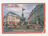 FS1 - Carte Postala - MAREA BRITANIE - Londra, Piccadilly Circus, necirculata, Fotografie