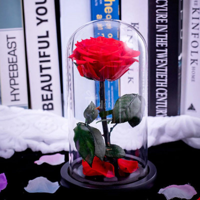 Trandafir Criogenat premium rosu &amp;Oslash;8cm in cupola sticla 12x25cm foto