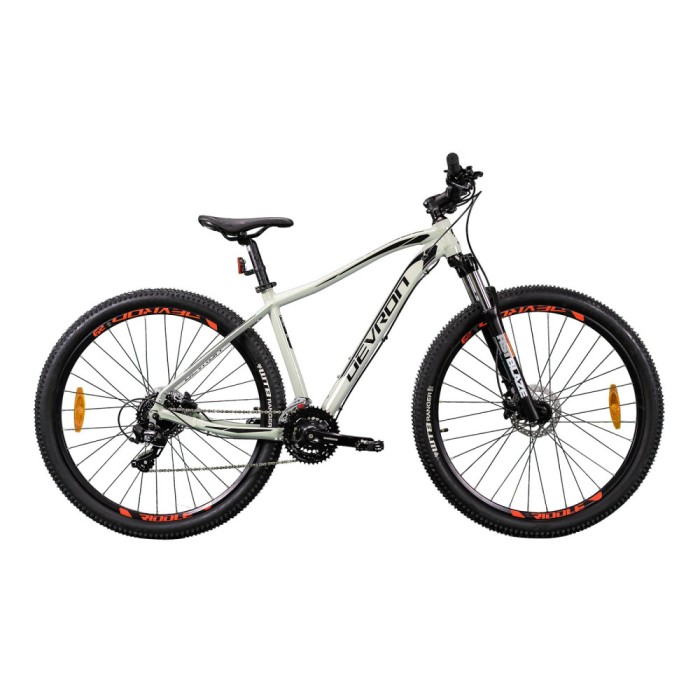 Bicicleta Mtb Devron Riddle 2023 RM2.9 - 29 Inch, L, Gri Ultimate FactoryBikes