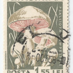 **România, LP 457/1958, Ciuperci comestibile, eroare, oblit.