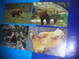 HOPCT LOT NR 420 URS/URSI -FAUNA -4 CARTI POSTALE-NECIRCULATE, Necirculata, Printata