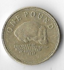 Moneda 1 pound 2008 - Gibraltar foto