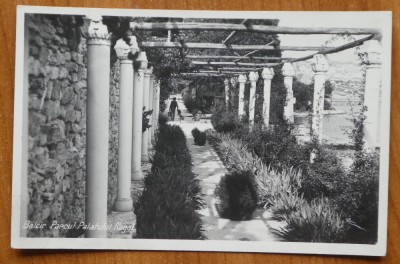 CP interbelica necirculata , Balcic , Parcul Palatului foto