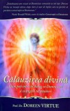 Cumpara ieftin Calauzirea divina - 2010 - Doreen Virtue (AZ240)