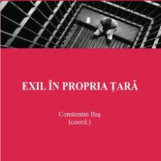 Exil in propria tara - Constantin Ilas