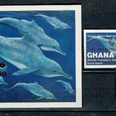 Ghana 1984 - Fauna marina, supratipar, serie+colita ndt neuzata