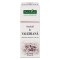 Tinctura Valeriana 50ml PlantExtrakt