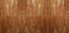 Tencuiala decorativa Rust Effect-MPS-RE foto