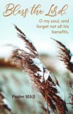 Forget Not Bulletin (Pkg 100) General Worship