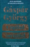 Copilul invizibil - 2021 - Gaspar Gyorgy (XE203)