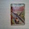 O CRIMA LA BRASOV - Petre Bellu - Editura Fortuna,1945, 160 p.