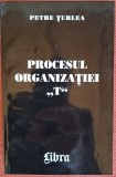 Procesul Organizatiei "T" - Petre Turlea (2000)