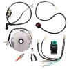 Magnetou Stator Aprindere 2 Bobine ATV 110cc Cross TMMP, Piese ATV 110cc, Magnetou Cross, Aprindere ATV