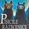 Pisicile razboinice Foc ?i ghea?a