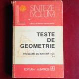 Teste de geometrie &ndash; Cătălin-Petru Nicolescu