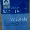 Văzutele și nevăzutele și Asceză și copilărie, Cristian Bădiliță
