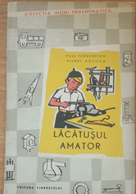 PAUL TEODORESCU - LACATUSUL AMATOR foto