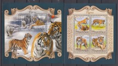 Mozambic 2018 - Feline Mari - TIGRI - BL + KB - MNH - Michel 42 Eur. foto