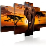 Cumpara ieftin Tablou - The Savannah King 200x100 cm