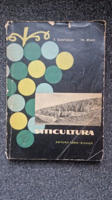 VITICULTURA - Sampalean, Bejan foto