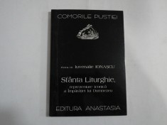 SFANTA LITURGHIE, REPREZENTARE ICONICA A IMPARATIEI LUI DUMNEZEU (SUBLINIERI) - PROTOS DR. IUVE - COMORILE PUSTIEINALIE IONASCU