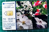Cartelă telefonică Romtelecom Puzzle Floral 100.000 lei 10 lei noi 100.000 unități HAW9XT exp. 01.06.2007 Pipa Trompeta turcului Flori Plante