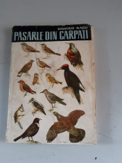 Dimitrie Radu - Pasarile din Carpati foto