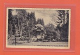 AMS @ - ILUSTRATA/VEDERE VATRA DORNEI, PAVILIONUL DE MUZICA, 1937, necirculata
