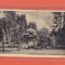 AMS @ - ILUSTRATA/VEDERE VATRA DORNEI, PAVILIONUL DE MUZICA, 1937, necirculata