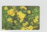 bnk card Cartele telefonice - Romania Romtelecom 2006 - Flowers 3 - Col:RO-ROM-0362B