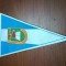 FANION CSU STIINTA BACAU , RSR .SUPERB