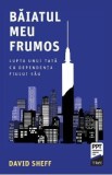 Baiatul meu frumos. Lupta unui tata cu dependenta fiului sau - David Sheff