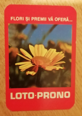 C9 11 - 1981 - Calendar de buzunar - reclama Loto - Prono foto