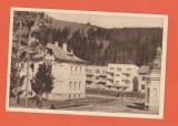 AMS @ - ILUSTRATA RPR, VATRA DORNEI - BAILE, SEPIA-MARO, NECIRCULATA